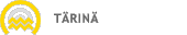 T�rin�